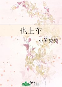 《也上车》